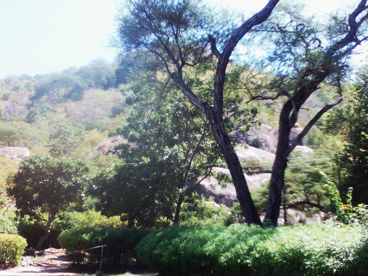 Nkhudzi Beach Lodge Nkudzi Buitenkant foto